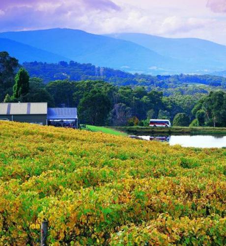Yarra Valley
